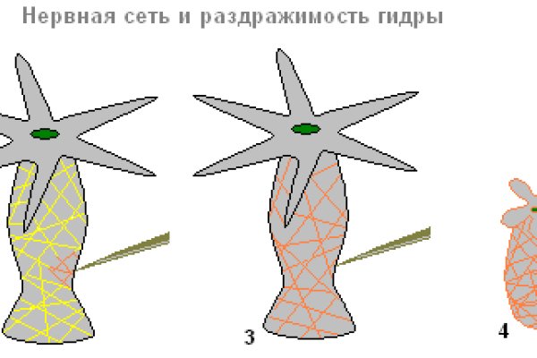 Кракен адрес тор