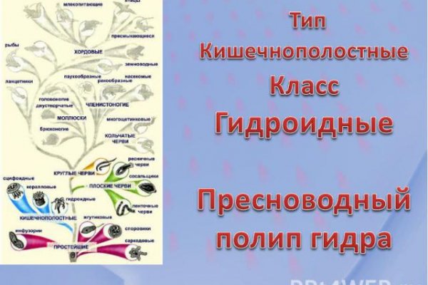 Кракен наркомаркет